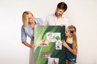 Lousa de cortiça Linhas paisagem natureza