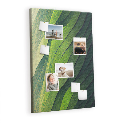 Lousa de cortiça Linhas paisagem natureza