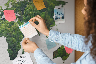 Quadro de aviso de cortiça Mapa da Floresta Verde