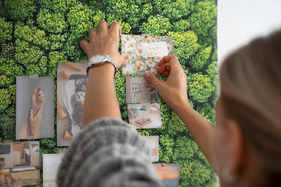 Quadro em cortiça Floresta vista de um pássaro