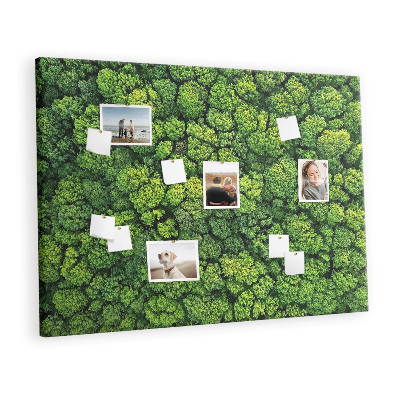 Quadro em cortiça Floresta vista de um pássaro