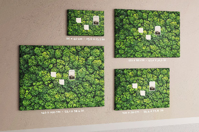 Quadro em cortiça Floresta vista de um pássaro