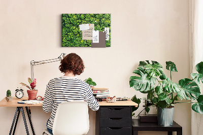 Quadro em cortiça Floresta vista de um pássaro