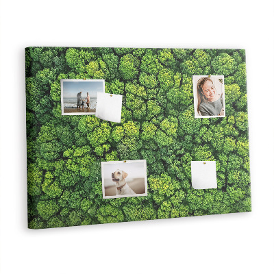 Quadro em cortiça Floresta vista de um pássaro