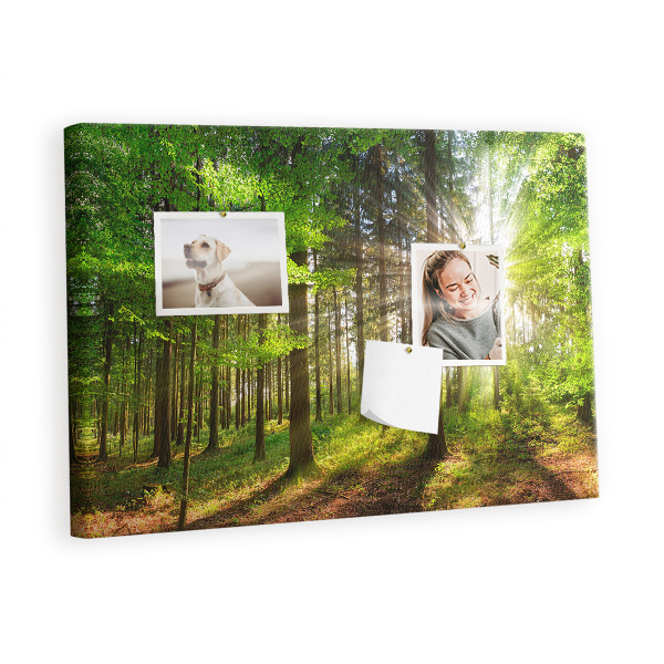 Quadro de aviso de cortiça Nascer do sol na floresta