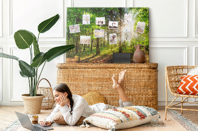 Quadro de aviso de cortiça Nascer do sol na floresta