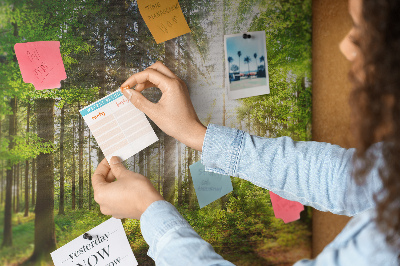 Quadro de aviso de cortiça Nascer do sol na floresta