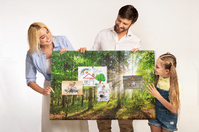 Quadro de aviso de cortiça Nascer do sol na floresta