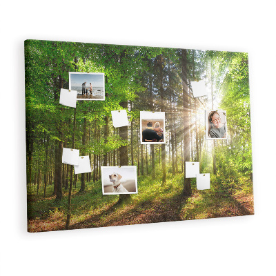 Quadro de aviso de cortiça Nascer do sol na floresta