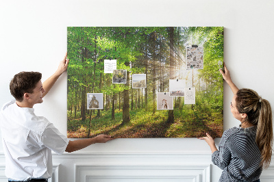 Quadro de aviso de cortiça Nascer do sol na floresta