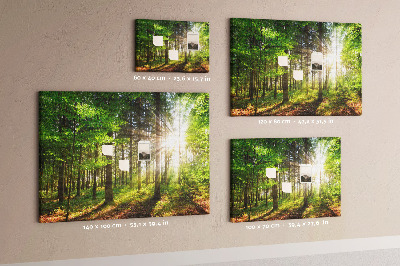 Quadro de aviso de cortiça Nascer do sol na floresta