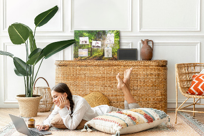 Quadro de aviso de cortiça Nascer do sol na floresta