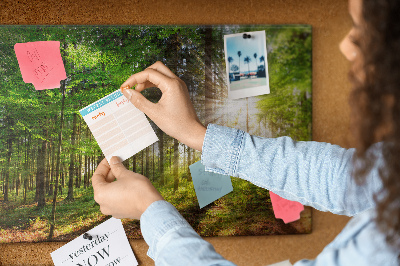 Quadro de aviso de cortiça Nascer do sol na floresta