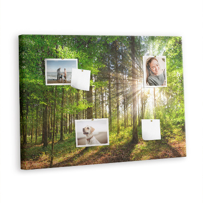 Quadro de aviso de cortiça Nascer do sol na floresta