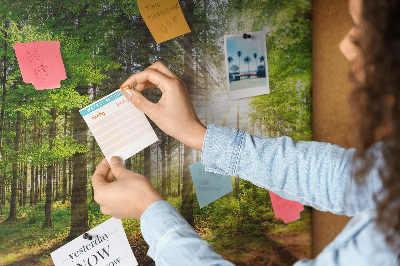 Quadro de aviso de cortiça Nascer do sol na floresta