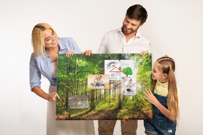 Quadro de aviso de cortiça Nascer do sol na floresta