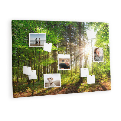 Quadro de aviso de cortiça Nascer do sol na floresta