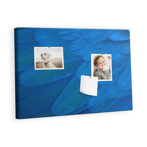 Quadro em cortiça Pena de pássaro