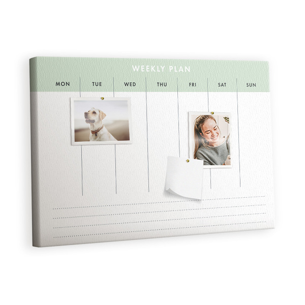 Painel em cortiça Planejador básico