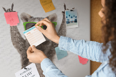 Quadro em cortiça Guaxinim com óculos