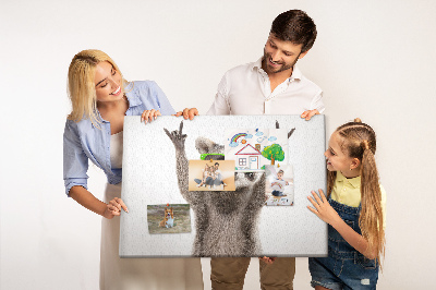 Quadro em cortiça Guaxinim com óculos