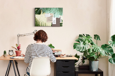 Quadro de aviso de cortiça Folhas de Monstera