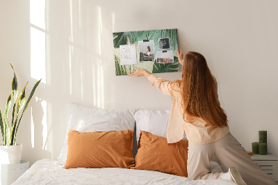 Quadro de aviso de cortiça Folhas de Monstera