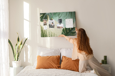 Quadro de aviso de cortiça Folhas de Monstera