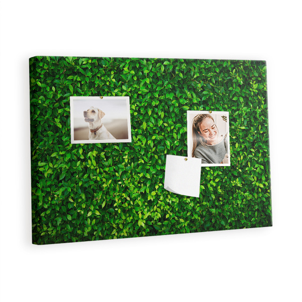 Quadro em cortiça Folhas de sebe