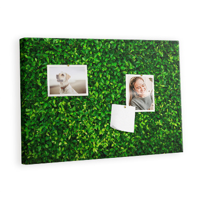 Quadro em cortiça Folhas de sebe