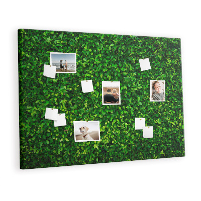 Quadro em cortiça Folhas de sebe