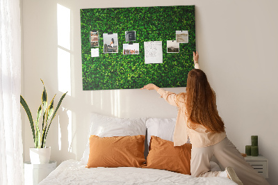 Quadro em cortiça Folhas de sebe