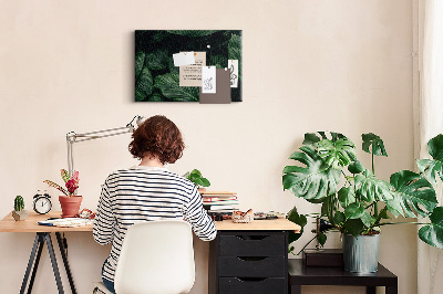 Quadro em cortiça Monstera tropical