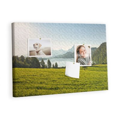 Quadro em cortiça Campo de montanha