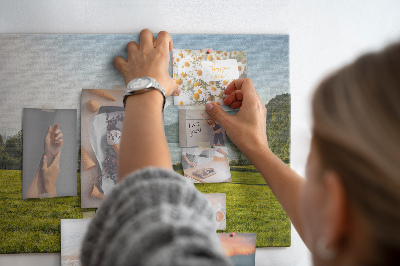 Quadro em cortiça Campo de montanha