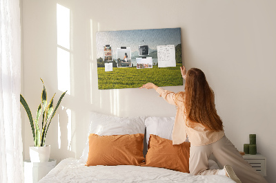 Quadro em cortiça Campo de montanha