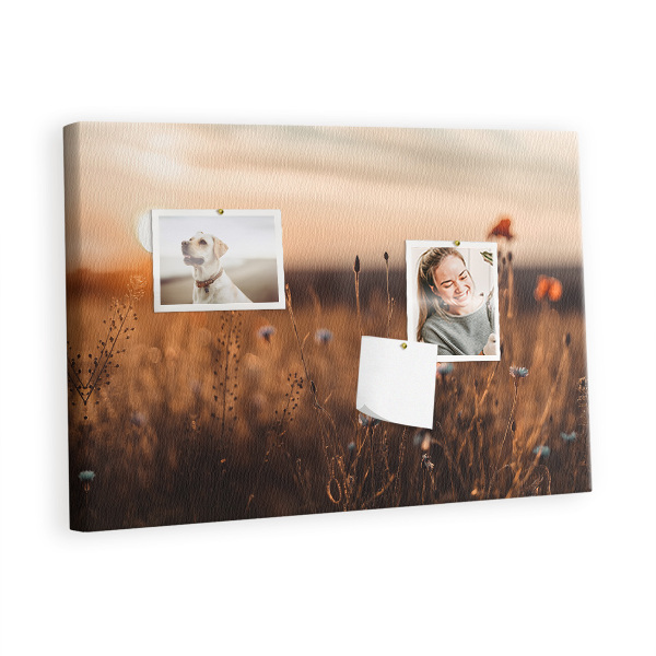 Quadro de aviso de cortiça Nascer do sol no campo