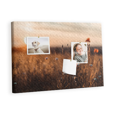 Quadro de aviso de cortiça Nascer do sol no campo