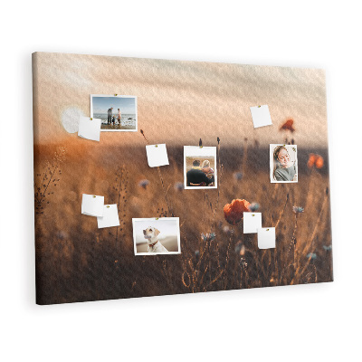 Quadro de aviso de cortiça Nascer do sol no campo