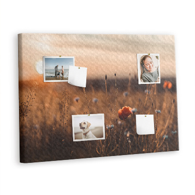 Quadro de aviso de cortiça Nascer do sol no campo