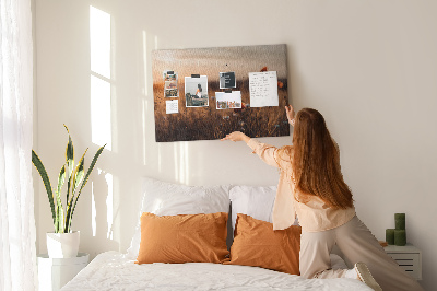 Quadro de aviso de cortiça Nascer do sol no campo