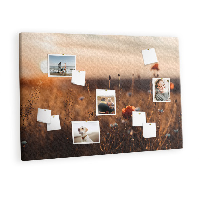 Quadro de aviso de cortiça Nascer do sol no campo