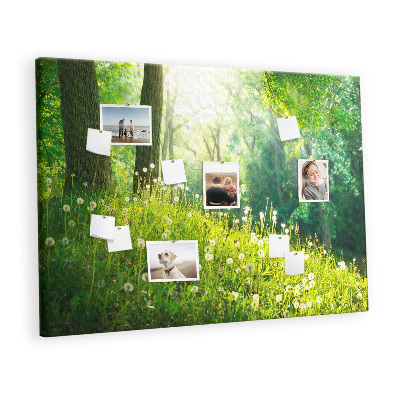 Quadro em cortiça Natureza da primavera