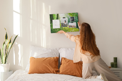 Quadro em cortiça Natureza da primavera