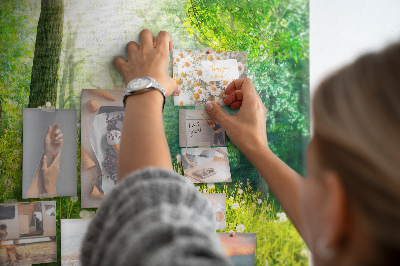 Quadro em cortiça Natureza da primavera