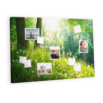 Quadro em cortiça Natureza da primavera