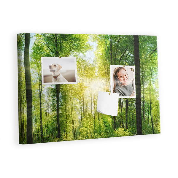 Quadro de aviso de cortiça Árvores da floresta natural