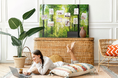 Quadro de aviso de cortiça Árvores da floresta natural