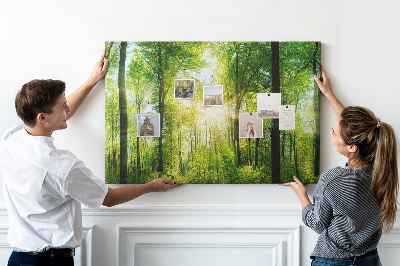 Quadro de aviso de cortiça Árvores da floresta natural