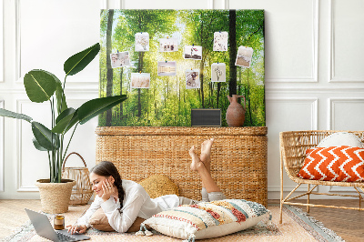 Quadro de aviso de cortiça Árvores da floresta natural